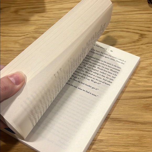 A.J. Gnuse 'Girl in the Walls' Novel - Picture 3 of 5